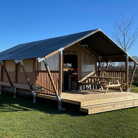 Luxe Safaritenten Petit013 - Nieuw Тилбург Экстерьер фото