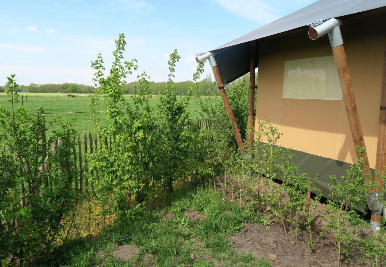 Luxe Safaritenten Petit013 - Nieuw Тилбург Номер фото